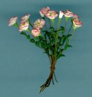 carnationsm.jpg (4230 bytes)