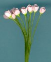 tulipsm.jpg (2848 bytes)